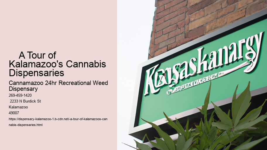     A Tour of Kalamazoo's Cannabis Dispensaries
